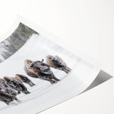 Buffalo wall art print showcasing a detailed bison design on textured canvas, rolled for easy shipping, perfect for wildlife-themed decor.