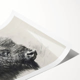 Buffalo wall art print showcasing a beautifully illustrated bison against a natural landscape, perfect for wildlife enthusiasts and home decor. Ideal for adding a rustic touch to any space, this rolled artwork is designed to enhance interior aesthetics with its vibrant colors and intricate details.