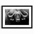Framed wall art featuring a majestic buffalo design in a minimalist black frame, complete with a white mat, perfect for nature-themed decor or wildlife enthusiasts.