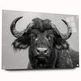 Side view of a buffalo wall art piece from the "A Wild Life" collection, featuring an acrylic glass finish and decorative pins, ideal for nature-themed decor.