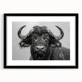 Framed wall art featuring a striking black and white design of a buffalo, showcasing intricate details and textures, perfect for wildlife enthusiasts.