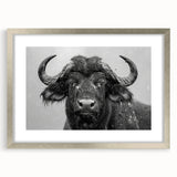 Framed wall art featuring a striking illustration of a buffalo, designed by Bisson, with a silver mat and frame, ideal for wildlife enthusiasts and home decor.