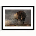 Black-framed wall art featuring a striking buffalo design from the "Animals A Wild Life" collection, showcasing intricate details and a contemporary aesthetic perfect for home decor.
