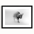 Framed wall art featuring a striking buffalo design from the 'A Bisson Design' collection, showcasing a black frame and mat, ideal for wildlife enthusiasts.