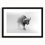 Framed wall art featuring a striking buffalo design from the 'A Bisson Design' collection, showcasing a black frame and mat, ideal for wildlife enthusiasts.
