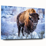 Side view of a buffalo wall art piece from the A Bisson Design 37 collection, featuring vibrant colors and intricate details, framed in acrylic glass for a modern touch.