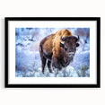 Black-framed wall art featuring a majestic buffalo design from the "A Wild Life" collection, showcasing vibrant colors and intricate details, ideal for animal lovers and home décor enthusiasts.