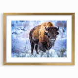 Buffalo wall art design from the A Wild Life collection, framed in gold with a mat, showcasing a majestic bison against a nature-inspired background. Perfect for wildlife enthusiasts and home decor.