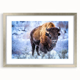 Framed wall art featuring a striking silver mat design showcasing a majestic buffalo, part of the A Bisson collection, perfect for nature-inspired decor.