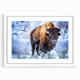 Framed wall art featuring a majestic buffalo design, set against a white mat, showcasing intricate details and a contemporary aesthetic for wildlife enthusiasts.