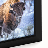 Close-up of a beautifully framed canvas wall art depicting a majestic buffalo in a wild landscape, showcasing intricate details and vibrant colors, perfect for nature enthusiasts.