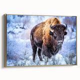 Framed canvas wall art showcasing a majestic buffalo in a striking gold design, perfect for enhancing wildlife-themed decor in modern interiors.