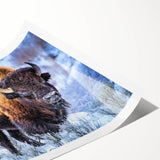 Buffalo wall art design showcasing a detailed bison illustration in natural colors, perfect for rustic home decor; rolled print ideal for framing or display.