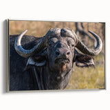 Framed canvas wall art showcasing a majestic silver bison against a soft background, highlighting intricate details and textures, perfect for wildlife decor enthusiasts.
