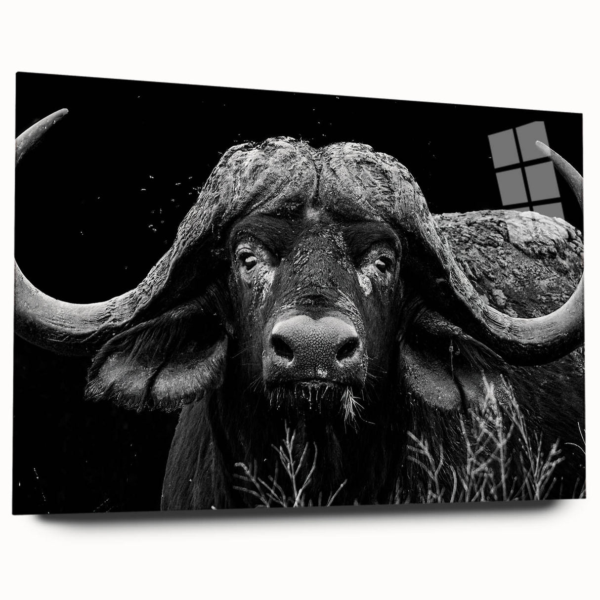 Side view of a stunning acrylic glass wall art piece featuring a detailed buffalo design, highlighting rich textures and vibrant colors, perfect for wildlife enthusiasts.