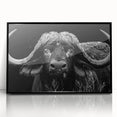 Framed wall art featuring a striking black buffalo design on acrylic, showcasing intricate details and a modern aesthetic, perfect for wildlife enthusiasts.