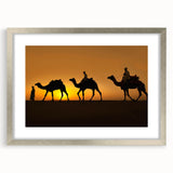 Framed wall art featuring a striking camel design from the Animals A Wild Life collection, showcasing intricate details and a silver mat, perfect for modern decor.
