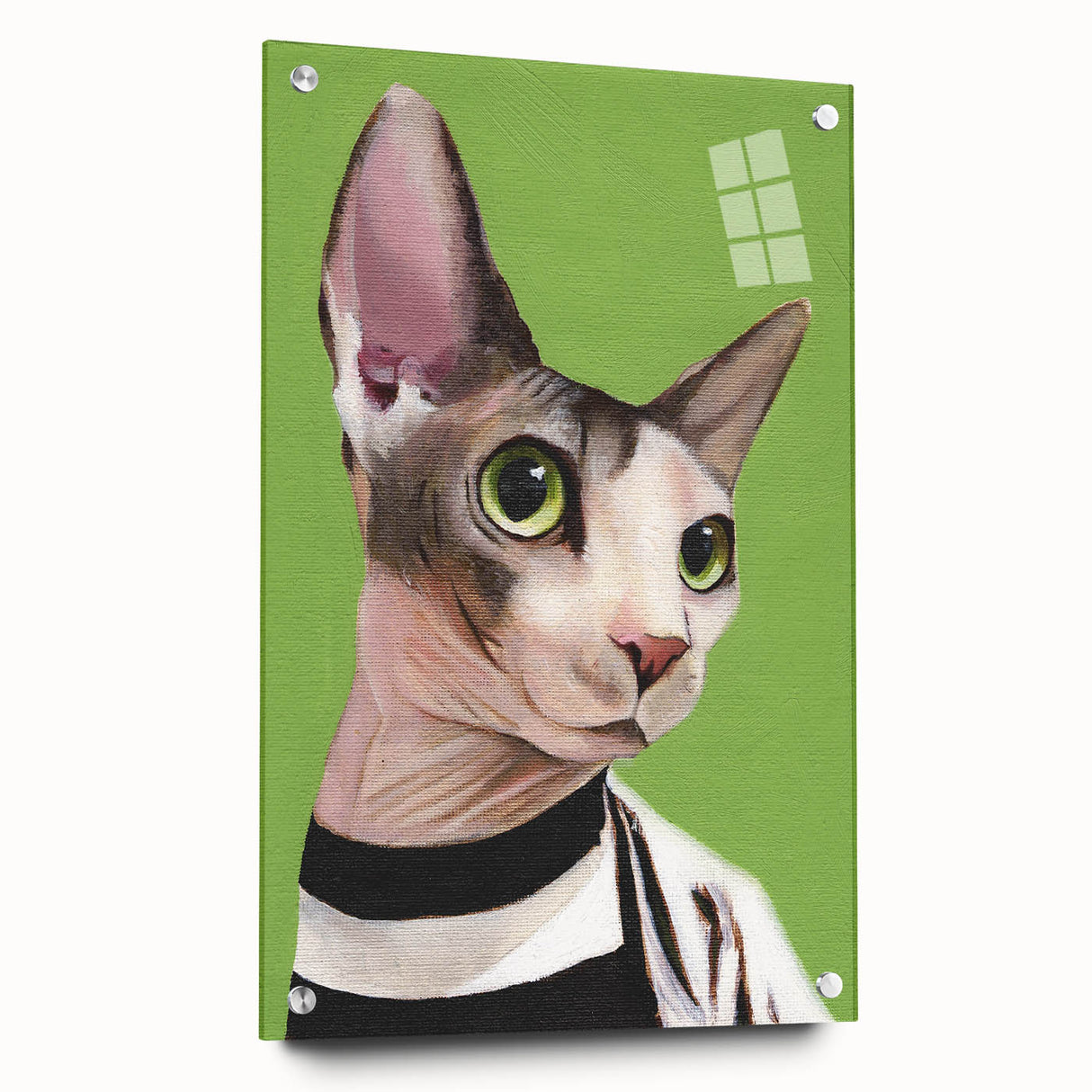 Acrylic wall art collection featuring a side view of a cat design, showcasing vibrant colors and intricate details, displayed with pins for stylish mounting.