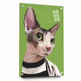 Acrylic wall art collection featuring a side view of a cat design, showcasing vibrant colors and intricate details, displayed with pins for stylish mounting.