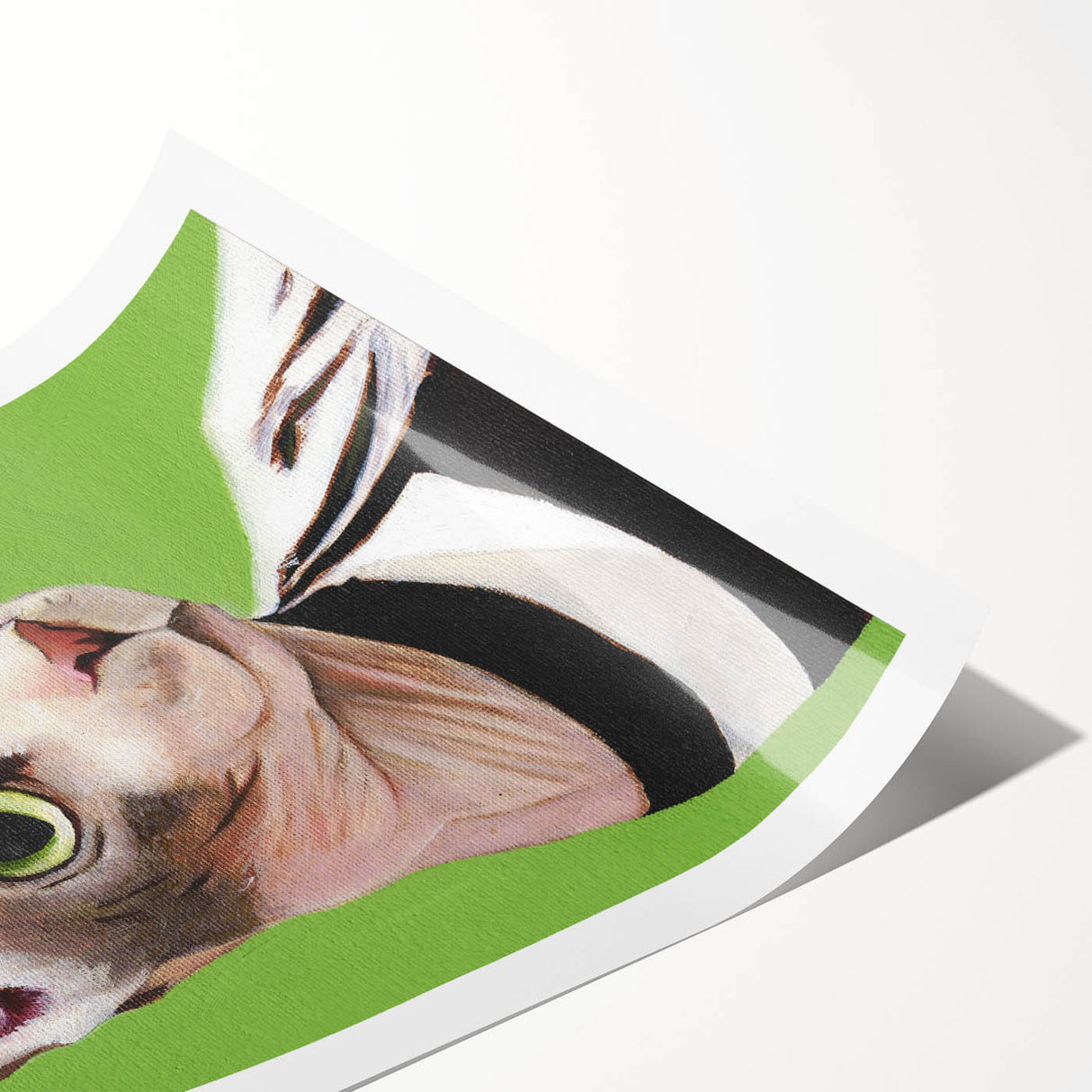 Colorful wild cat wall art print showcasing intricate designs and vibrant colors, rolled and ready for display. Perfect for animal lovers and home decor enthusiasts.