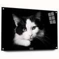 Acrylic glass wall art featuring a playful cat design from the Wild Life collection, displayed in a side view with decorative pins, perfect for animal lovers' decor.