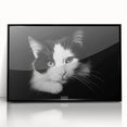 Framed wall art showcasing a wild cat design in vibrant colors, featuring a sleek black frame, ideal for animal lovers and home decor enthusiasts. Perfect for adding a touch of nature-inspired elegance to any space.