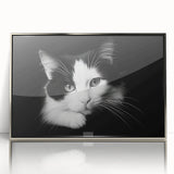 Framed wall art featuring a striking cat design from the 'Animals A Wild Life' collection, with a sleek silver frame and vibrant colors, ideal for animal lovers.