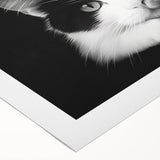 Colorful rolled canvas featuring a whimsical cat design inspired by wildlife, showcasing intricate patterns and vibrant colors, perfect for animal lovers' home decor.