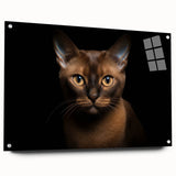Acrylic wall art showcasing a vibrant wild cat design, displayed from a side view with visible mounting pins, perfect for animal lovers and home decor enthusiasts.