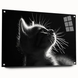 Acrylic glass wall art featuring a vibrant cat design from the Animals A Wild Life collection, showcasing a side view with decorative pins, ideal for modern home decor.