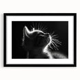 Black-framed wall art featuring a whimsical cat design from the "Animals - A Wild Life" collection, showcasing vibrant colors and playful details, perfect for animal lovers and home decor enthusiasts.