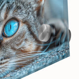 Close-up of a vibrant acrylic glass wall art piece showcasing a detailed wild cat design, perfect for animal lovers and home decor enthusiasts. This striking artwork combines bold colors and intricate patterns, bringing a touch of nature into any space.