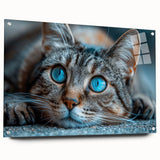 Acrylic glass wall art featuring a unique cat design from the 'Animals a Wild Life' collection, displayed in a side view with decorative pins, showcasing vibrant colors and intricate details. Perfect for animal lovers and modern decor enthusiasts.
