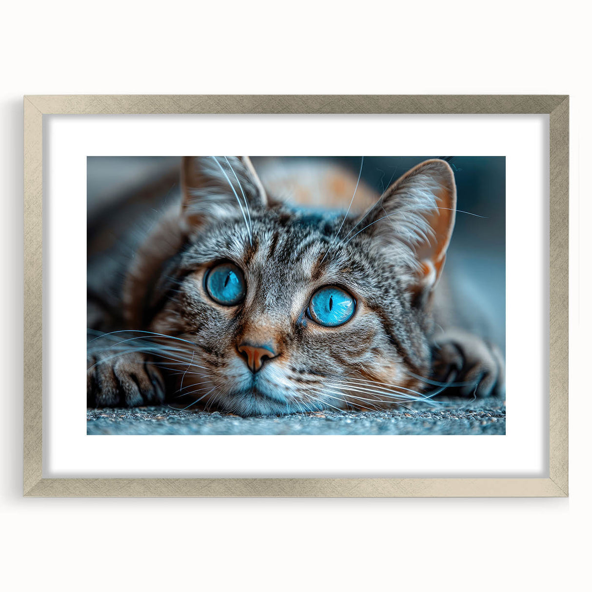 Framed wall art collection featuring a wild cat design with a silver mat, showcasing vibrant colors and intricate details, ideal for animal lovers and home decor.