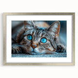 Framed wall art collection featuring a wild cat design with a silver mat, showcasing vibrant colors and intricate details, ideal for animal lovers and home decor.