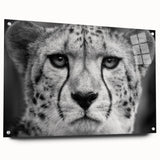 Cheetah wall art design on acrylic glass, showcasing a striking side view of a cheetah in a wild setting, with vibrant colors and intricate details. Ideal for animal lovers and modern decor.