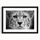 Framed wall art featuring a sleek cheetah design on a black mat, showcasing vibrant colors and intricate details, perfect for wildlife enthusiasts and modern decor.