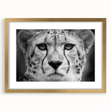 Cheetah wall art design showcasing a striking gold frame with mat, perfect for adding a touch of wildlife elegance to home decor. Ideal for animal lovers and art enthusiasts.