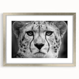 Framed wall art featuring a striking cheetah design with a silver mat, showcasing vibrant colors and intricate details, perfect for wildlife enthusiasts' decor.