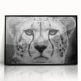 Framed wall art featuring a striking cheetah design against a black background, showcasing the elegance and speed of this majestic African animal, perfect for wildlife enthusiasts.