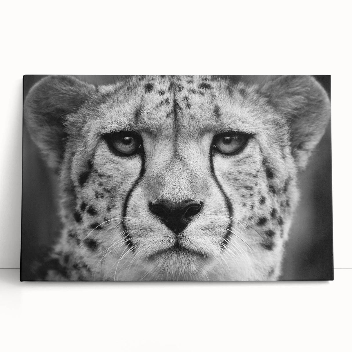Cheetah wall art design on stretched canvas, showcasing vibrant colors and intricate details, perfect for enhancing modern home decor with a wild theme.