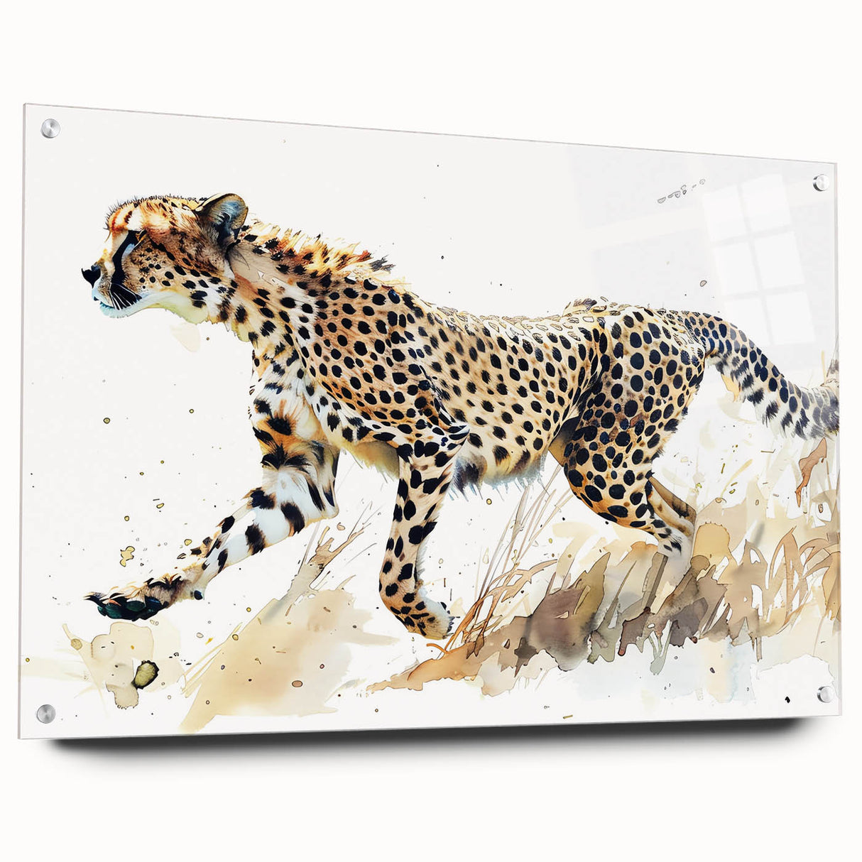Cheetah-themed wall art design displayed in a sleek acrylic frame, showcasing a dynamic side view of the animal in a vibrant setting, ideal for wildlife enthusiasts.