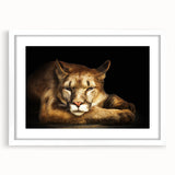 Cougar wall art design in a white frame with mat, showcasing a stunning wildlife illustration. Perfect for animal lovers and nature-themed decor.