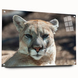 Side view of a wall art piece featuring an acrylic glass design of a cougar, showcasing vibrant colors and intricate details, mounted with pins for display.