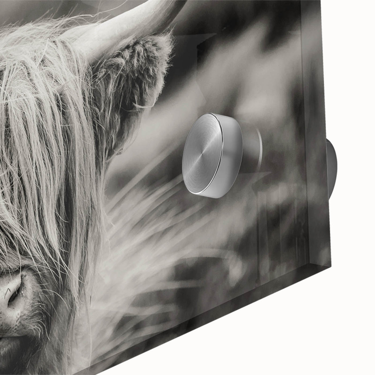 Close-up of vibrant acrylic glass wall art featuring a detailed cow design, showcasing rich colors and textures, perfect for animal lovers and home decor.