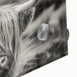 Close-up of vibrant acrylic glass wall art featuring a detailed cow design, showcasing rich colors and textures, perfect for animal lovers and home decor.