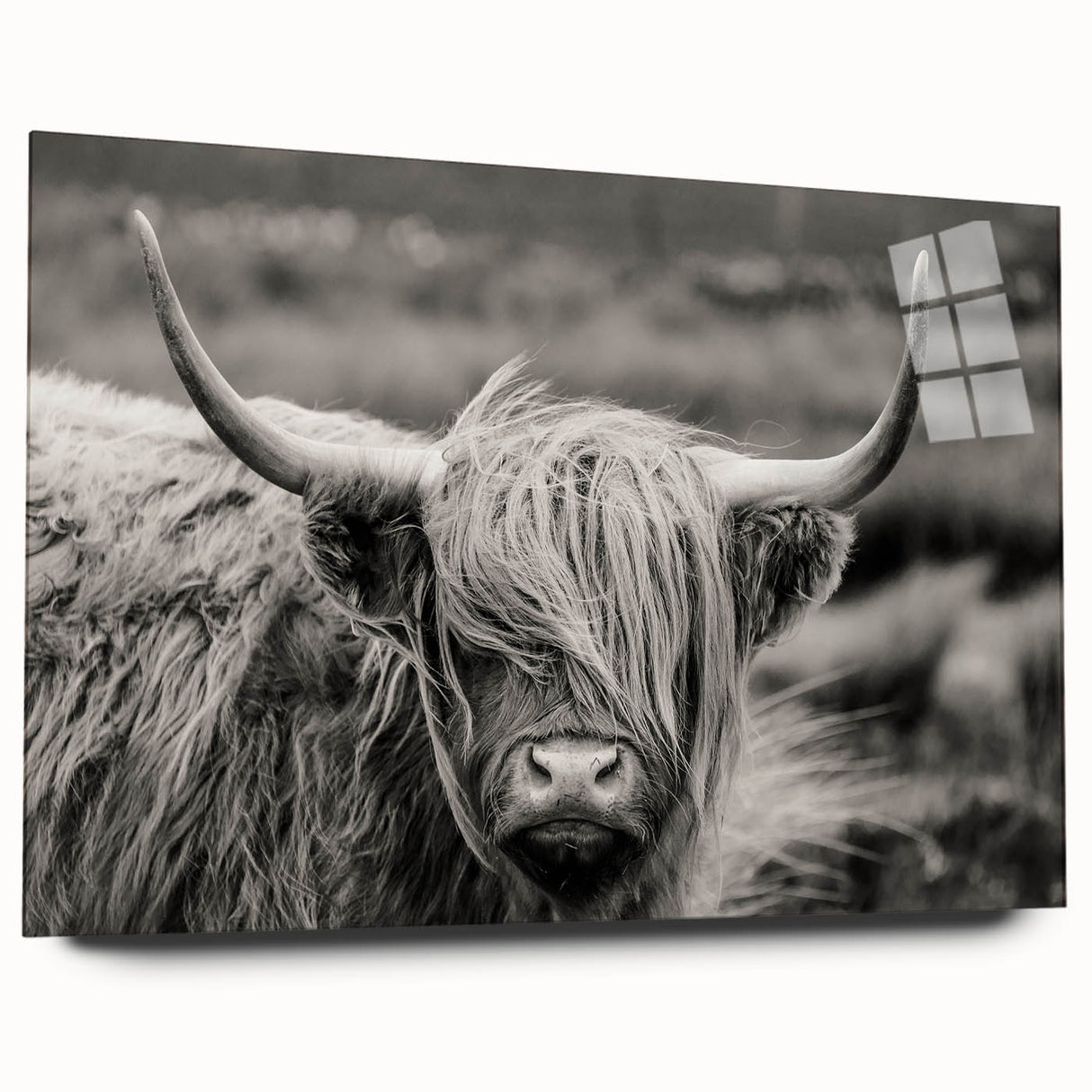 Acrylic wall art featuring a side view of a colorful cow design, showcasing vibrant details and textures, perfect for adding a touch of wildlife decor to any space.