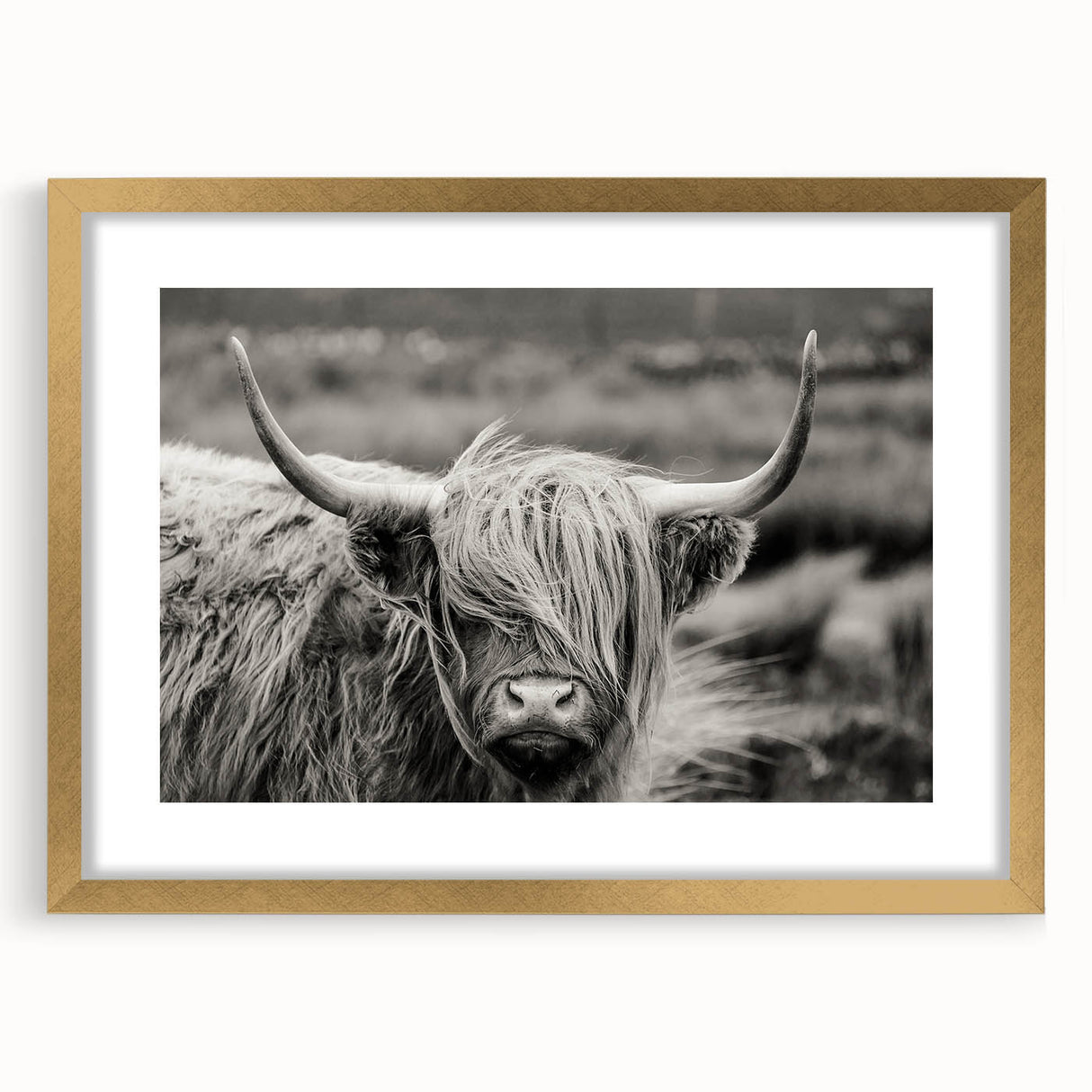 Framed wall art featuring a striking cow design with a gold mat, showcasing intricate details and a modern aesthetic, perfect for animal lovers and home decor enthusiasts.