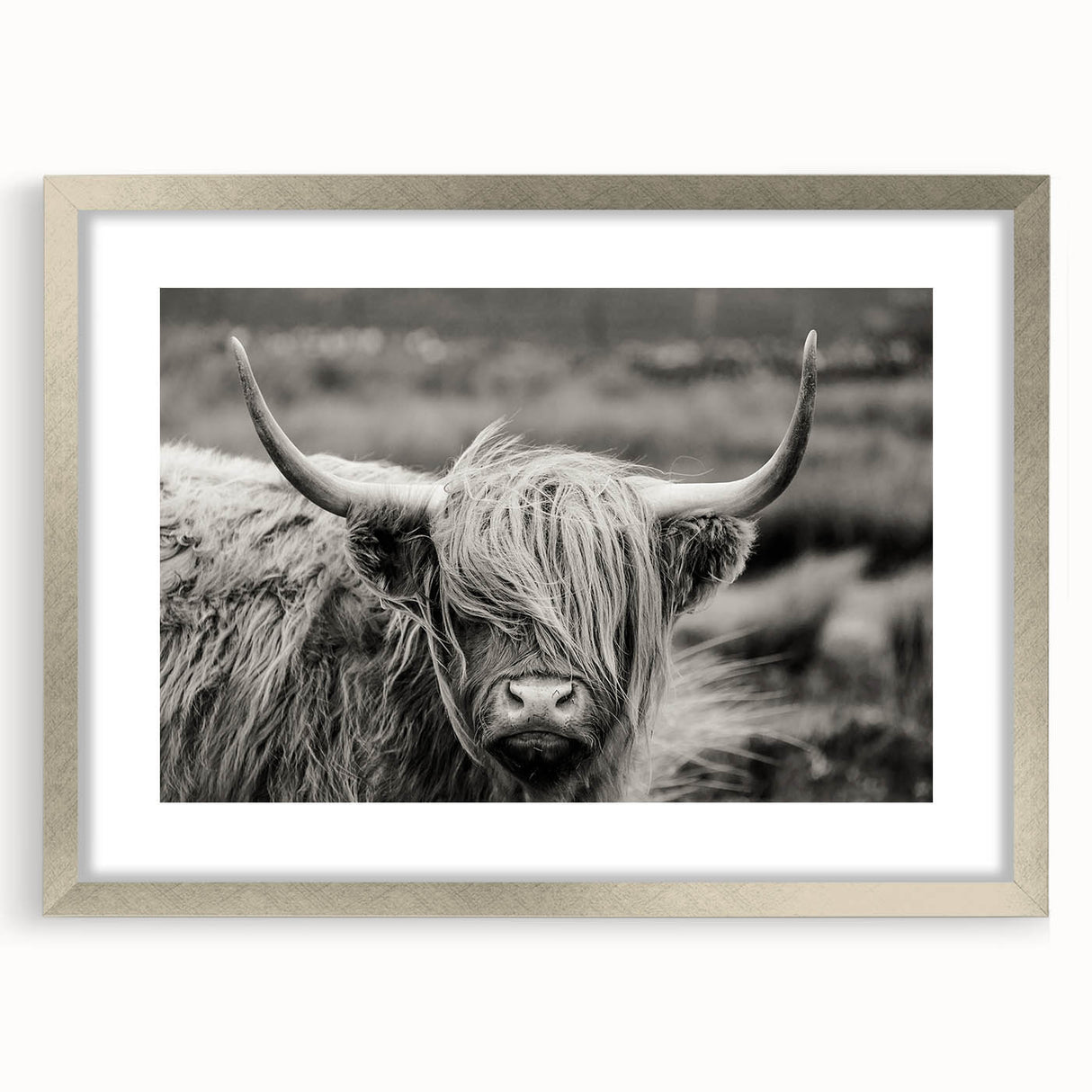 Framed wall art featuring a silver mat and a charming cow design, perfect for animal lovers, adding a whimsical touch to home decor with its modern aesthetic.