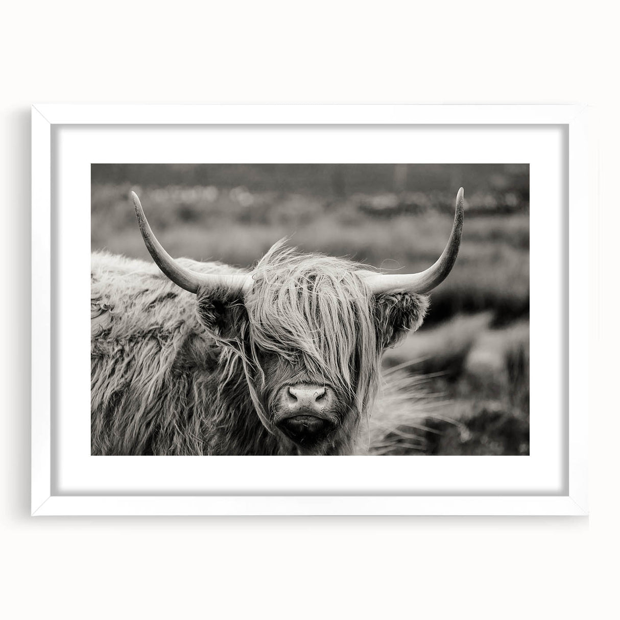 Framed wall art featuring a whimsical cow design with a white mat, set against a sleek black frame, ideal for animal lovers and modern decor enthusiasts.